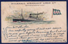 Unknown (Bucknall Steamship Lines)