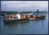 Shanghai Express