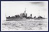HMS Ilex